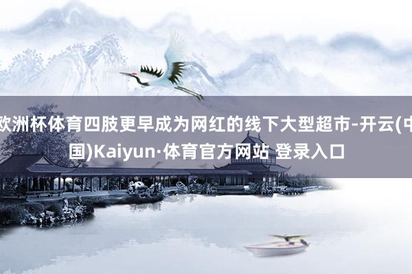 欧洲杯体育四肢更早成为网红的线下大型超市-开云(中国)Kaiyun·体育官方网站 登录入口