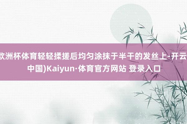 欧洲杯体育轻轻揉搓后均匀涂抹于半干的发丝上-开云(中国)Kaiyun·体育官方网站 登录入口