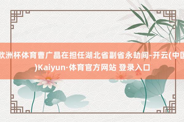欧洲杯体育曹广晶在担任湖北省副省永劫间-开云(中国)Kaiyun·体育官方网站 登录入口